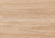 Elm
